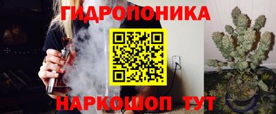 прущие грибы Комсомольск-на-Амуре