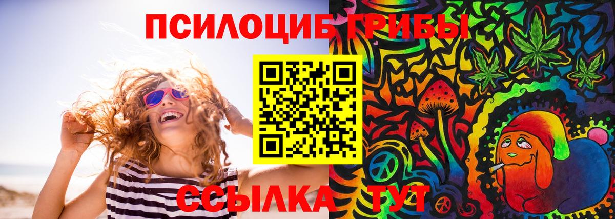 Галлюциногенные грибы Psilocybine cubensis Красноярск
