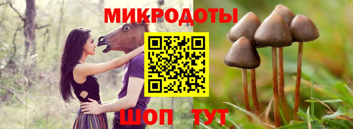 Псилоцибиновые грибы ЛСД  Вход с VPN  Красноярск  Галлюциногенные грибы мицелий 